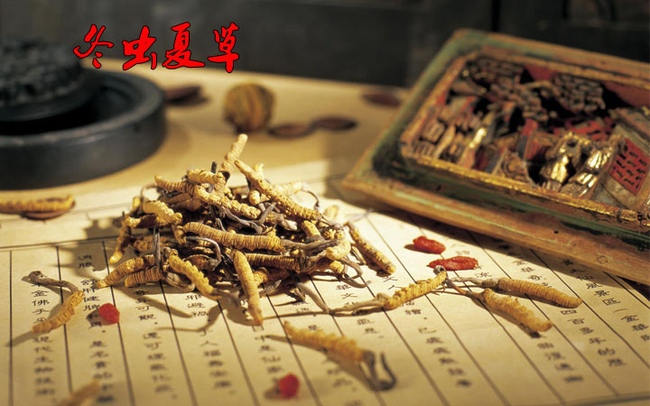 医学对冬虫夏草的功效的记载，食用和挑选方法介绍