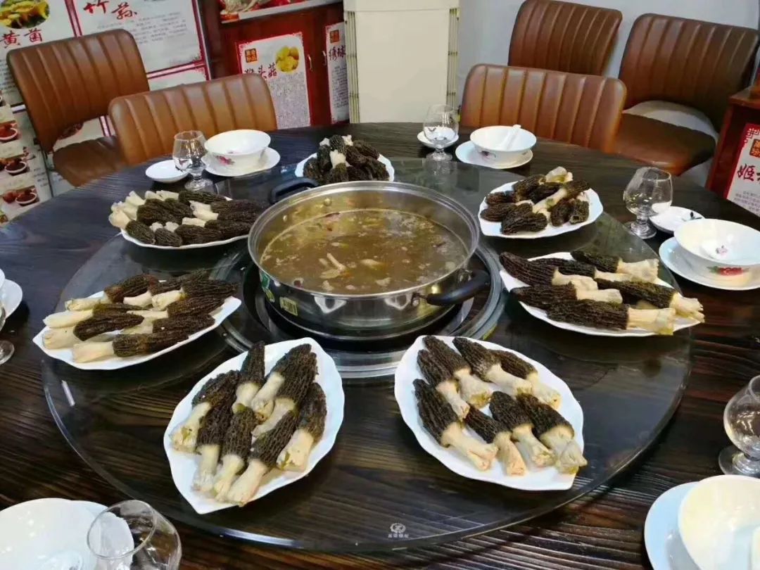松茸之后，这种菌菇国外爆火，日本人疯狂进口，小孩孕妇都能吃(图2)