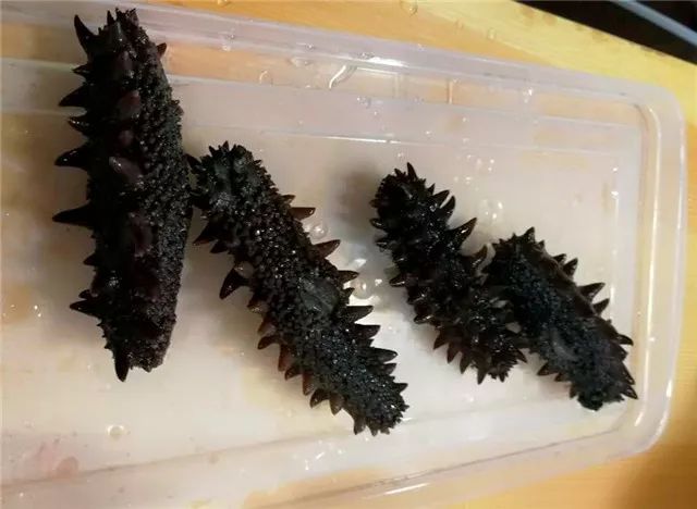 海参泡发四步法，这样泡出来的海参才不会流失营养！(图7)