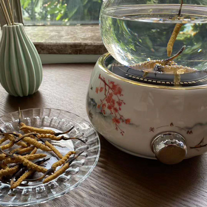 一张图教你鉴别真假冬虫夏草,太简单了!(图4) 一张图教你鉴别真假冬虫夏草,太简单了!(图4)