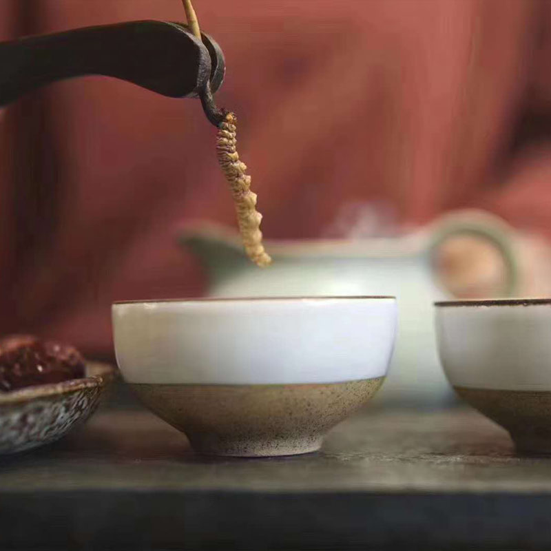 一张图教你鉴别真假冬虫夏草，太简单了！(图5)