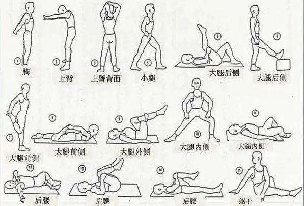 寿命短的人,一般有“2粗3硬”,哪怕占一个,可能身体已不健康(图11) 寿命短的人,一般有“2粗3硬”,哪怕占一个,可能身体已不健康(图11)