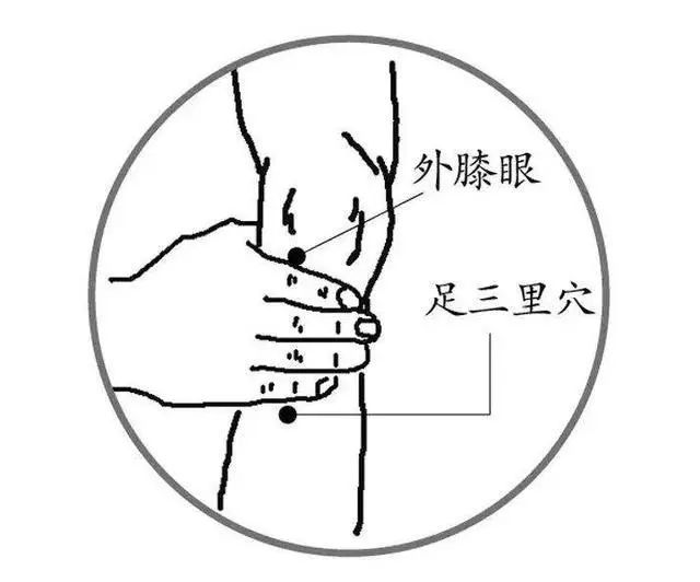 寿命短的人,一般有“2粗3硬”,哪怕占一个,可能身体已不健康(图12) 寿命短的人,一般有“2粗3硬”,哪怕占一个,可能身体已不健康(图12)