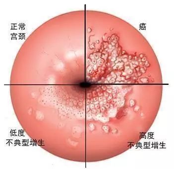 退休医生坦白说：去医院治这10种病，都是浪费钱！你被坑了多少？(图2)