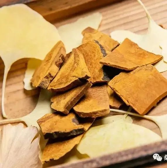 小小桑黄的神奇功效，太惊人！一类人一定要吃！